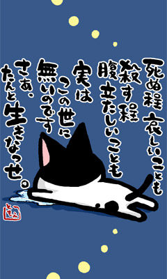 ネコトバ。166