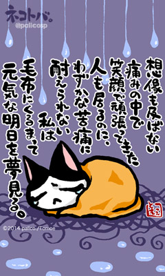 ネコトバ。223