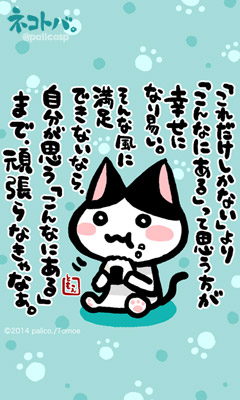 ネコトバ。243