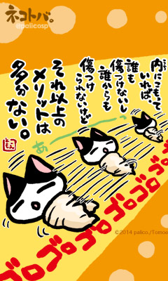 ネコトバ。255