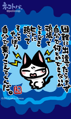 ネコトバ。257