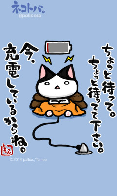 ネコトバ。263