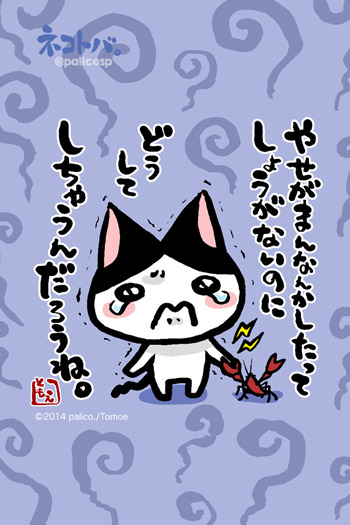 ネコトバ。288