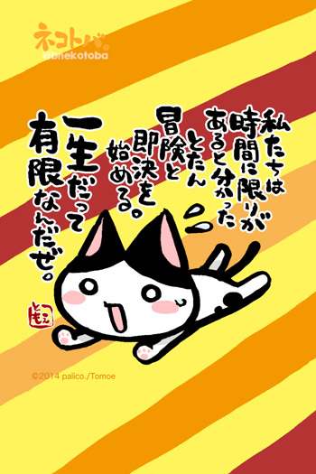 ネコトバ。298