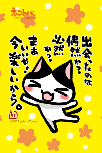 ネコトバ。322