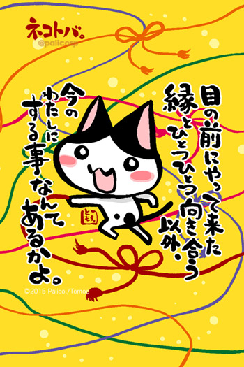 ネコトバ。339