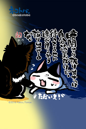 ネコトバ。362