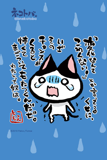 ネコトバ。369