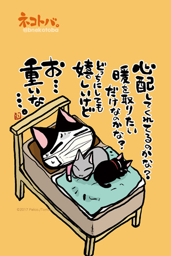 ネコトバ。374