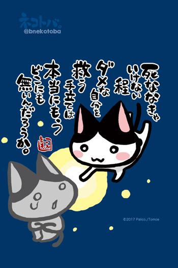 ネコトバ。377