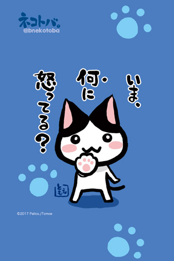 ネコトバ。379