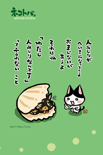 ネコトバ。381