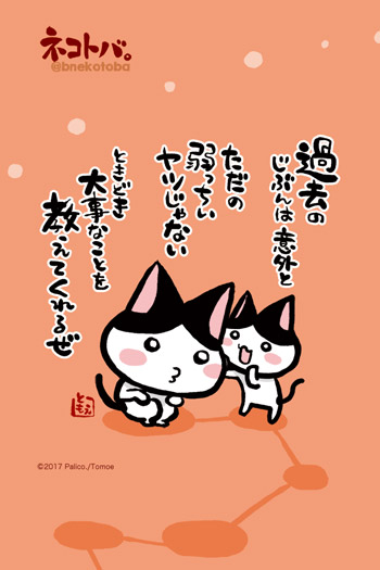 ネコトバ。386