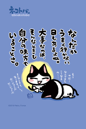 ネコトバ。406
