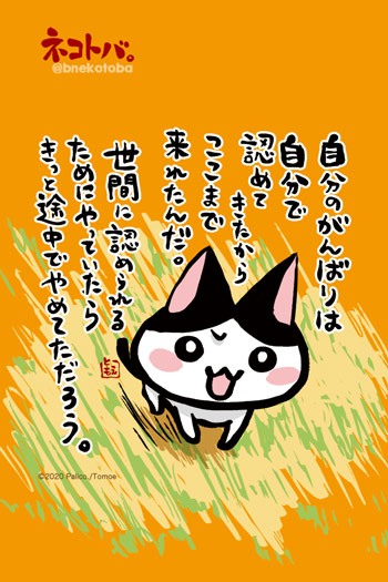 ネコトバ。415