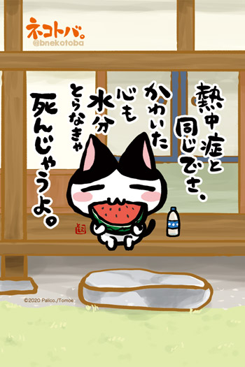 ネコトバ。424