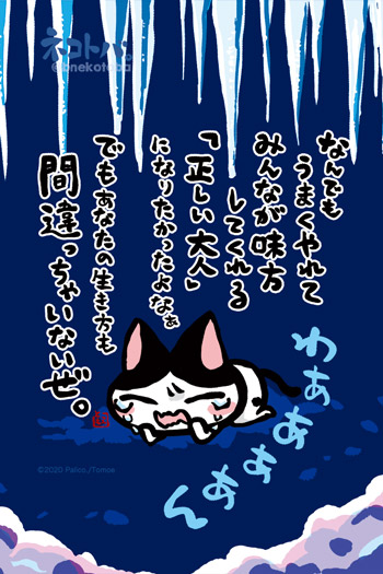 ネコトバ。425