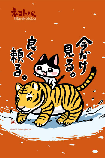 ネコトバ。432
