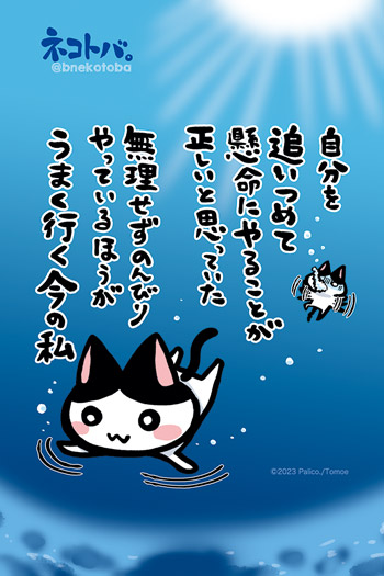 ネコトバ。437