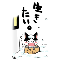 ネコトバ6