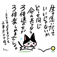 ネコトバ027