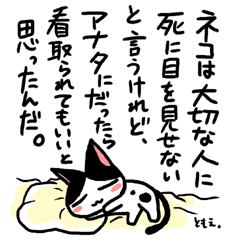 ネコトバ066