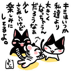 ネコトバ094
