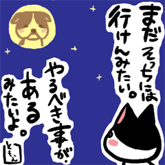 ネコトバ100