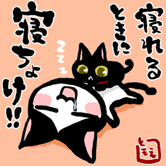 ネコトバ。141