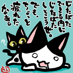 ネコトバ143