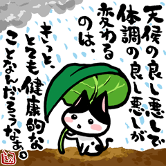 ネコトバ148