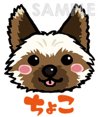 イラスト化