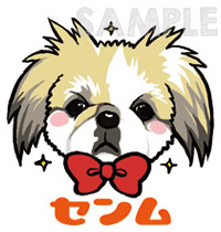 センムver.