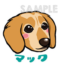 イラスト化
