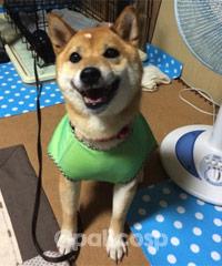 元のお写真